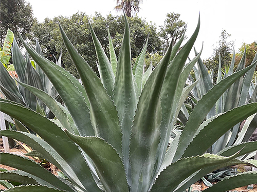 安全 安心 最適な医療ガス供給設備 - 高知県南国市 - 株式会社濱田気工